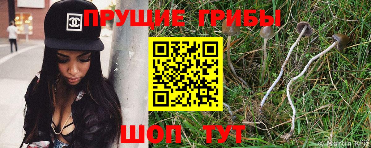 Галлюциногенные грибы Magic Shrooms  Галлюциногенные грибы Cubensis  Вход с VPN  Чистополь 